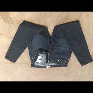 Hudson dark wash skinny jeans